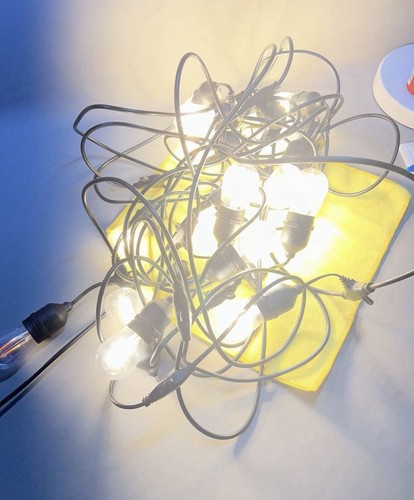 Festoon lights garden string - garden,