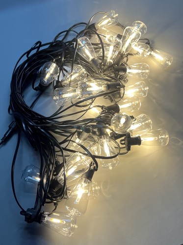 Festoon lights garden - festoon, string
