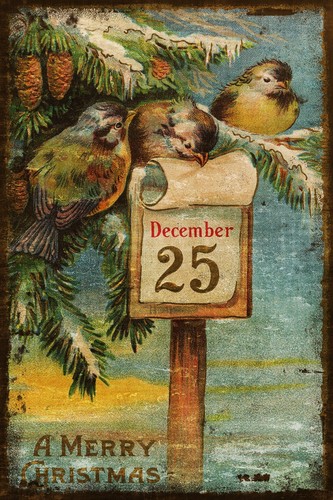 December 25th christmas birds - december,
