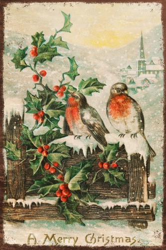 Vintage snowy robins christmas - vintage,